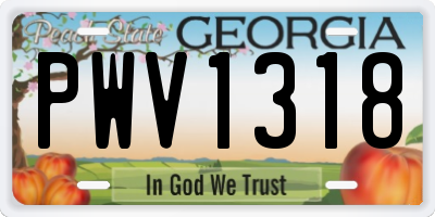 GA license plate PWV1318