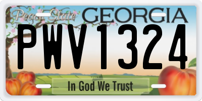 GA license plate PWV1324