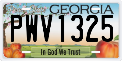 GA license plate PWV1325