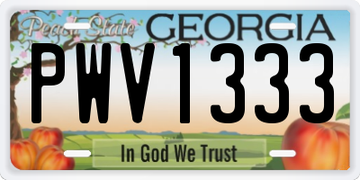 GA license plate PWV1333