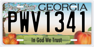 GA license plate PWV1341
