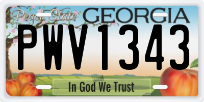 GA license plate PWV1343