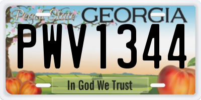 GA license plate PWV1344