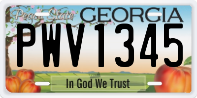 GA license plate PWV1345