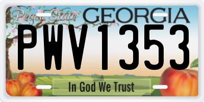 GA license plate PWV1353