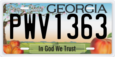 GA license plate PWV1363
