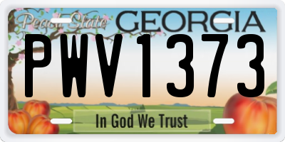 GA license plate PWV1373