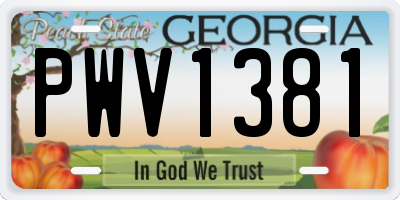 GA license plate PWV1381