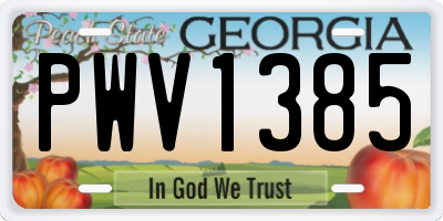 GA license plate PWV1385