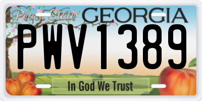 GA license plate PWV1389