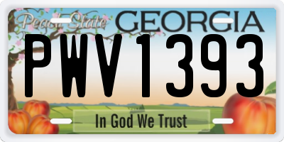 GA license plate PWV1393