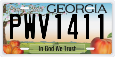 GA license plate PWV1411