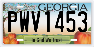 GA license plate PWV1453