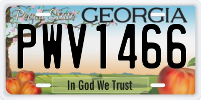 GA license plate PWV1466