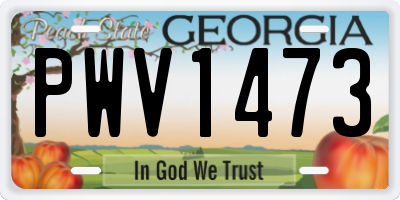 GA license plate PWV1473