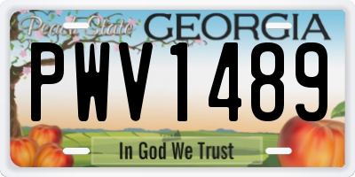 GA license plate PWV1489
