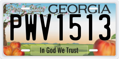 GA license plate PWV1513