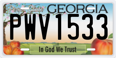GA license plate PWV1533