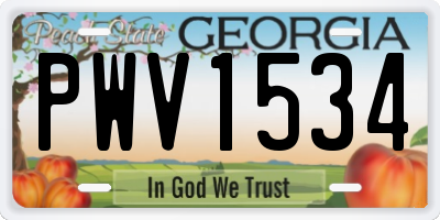 GA license plate PWV1534