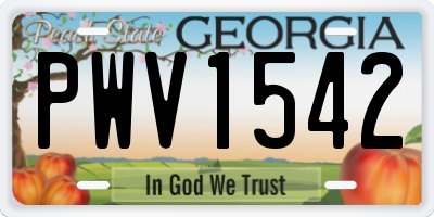 GA license plate PWV1542