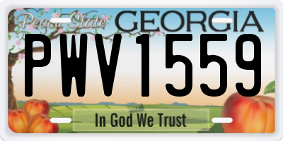 GA license plate PWV1559