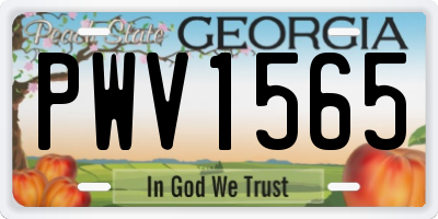GA license plate PWV1565