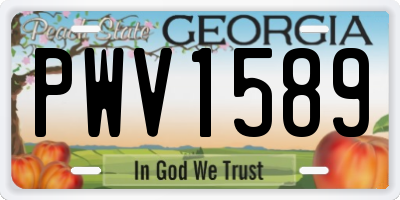 GA license plate PWV1589