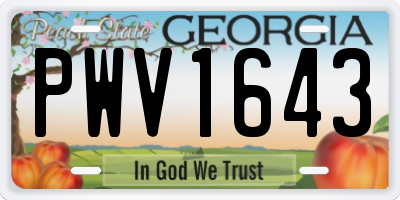 GA license plate PWV1643