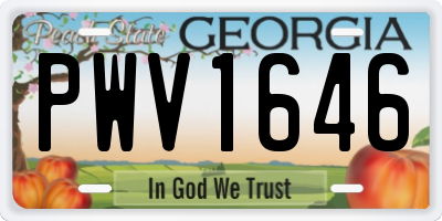GA license plate PWV1646