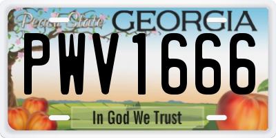 GA license plate PWV1666