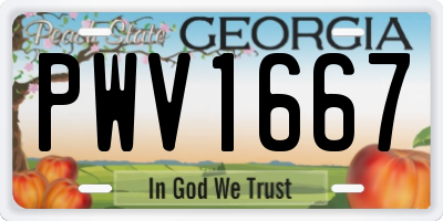 GA license plate PWV1667