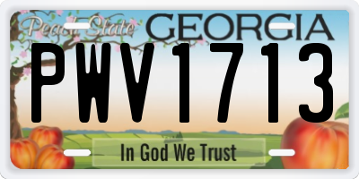 GA license plate PWV1713