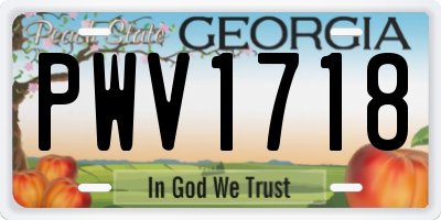 GA license plate PWV1718