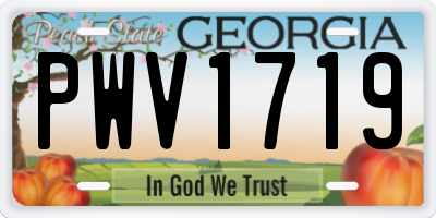 GA license plate PWV1719