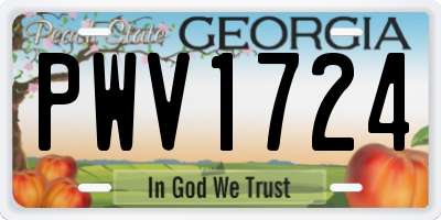 GA license plate PWV1724