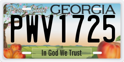 GA license plate PWV1725