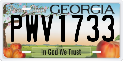 GA license plate PWV1733