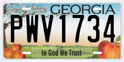 GA license plate PWV1734