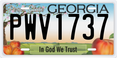 GA license plate PWV1737