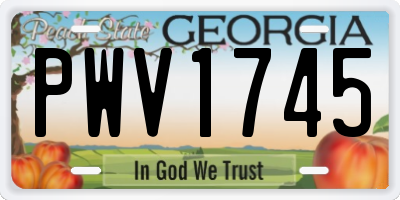 GA license plate PWV1745