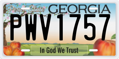 GA license plate PWV1757