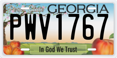 GA license plate PWV1767