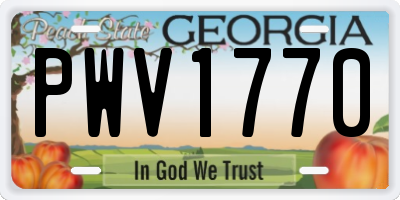 GA license plate PWV1770