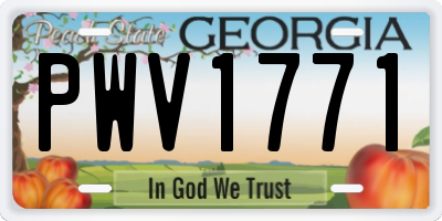 GA license plate PWV1771