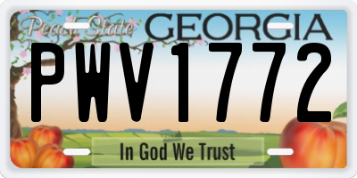 GA license plate PWV1772