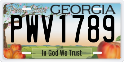 GA license plate PWV1789