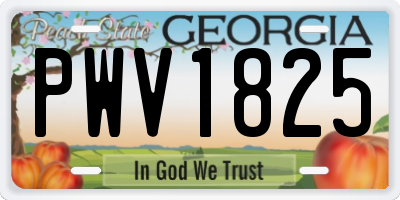 GA license plate PWV1825