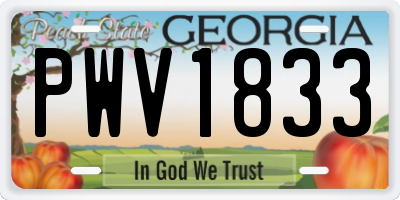 GA license plate PWV1833