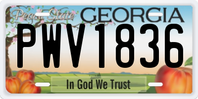 GA license plate PWV1836
