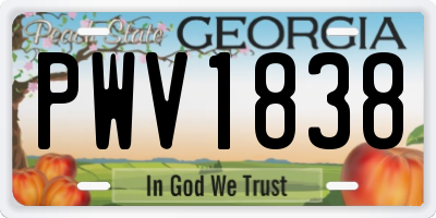 GA license plate PWV1838
